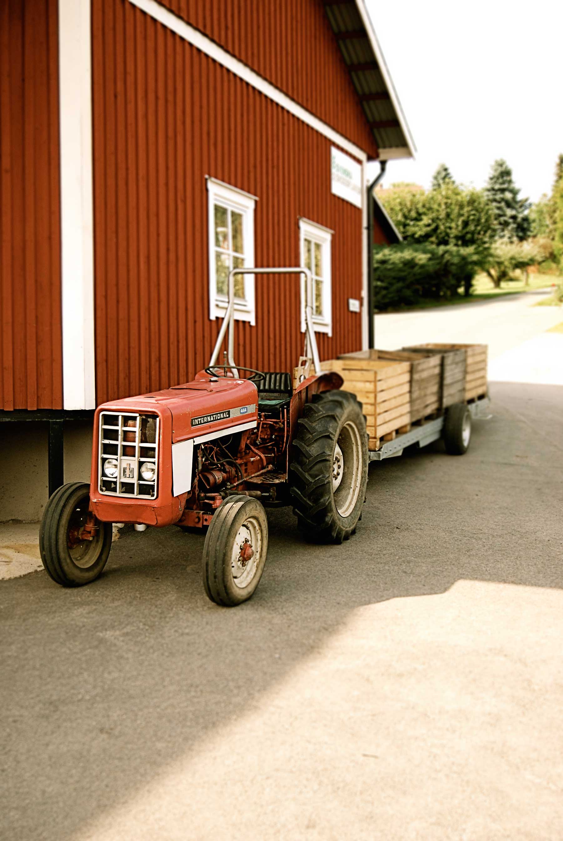 Frukt från Vätterbygden, sedan trettiotalet